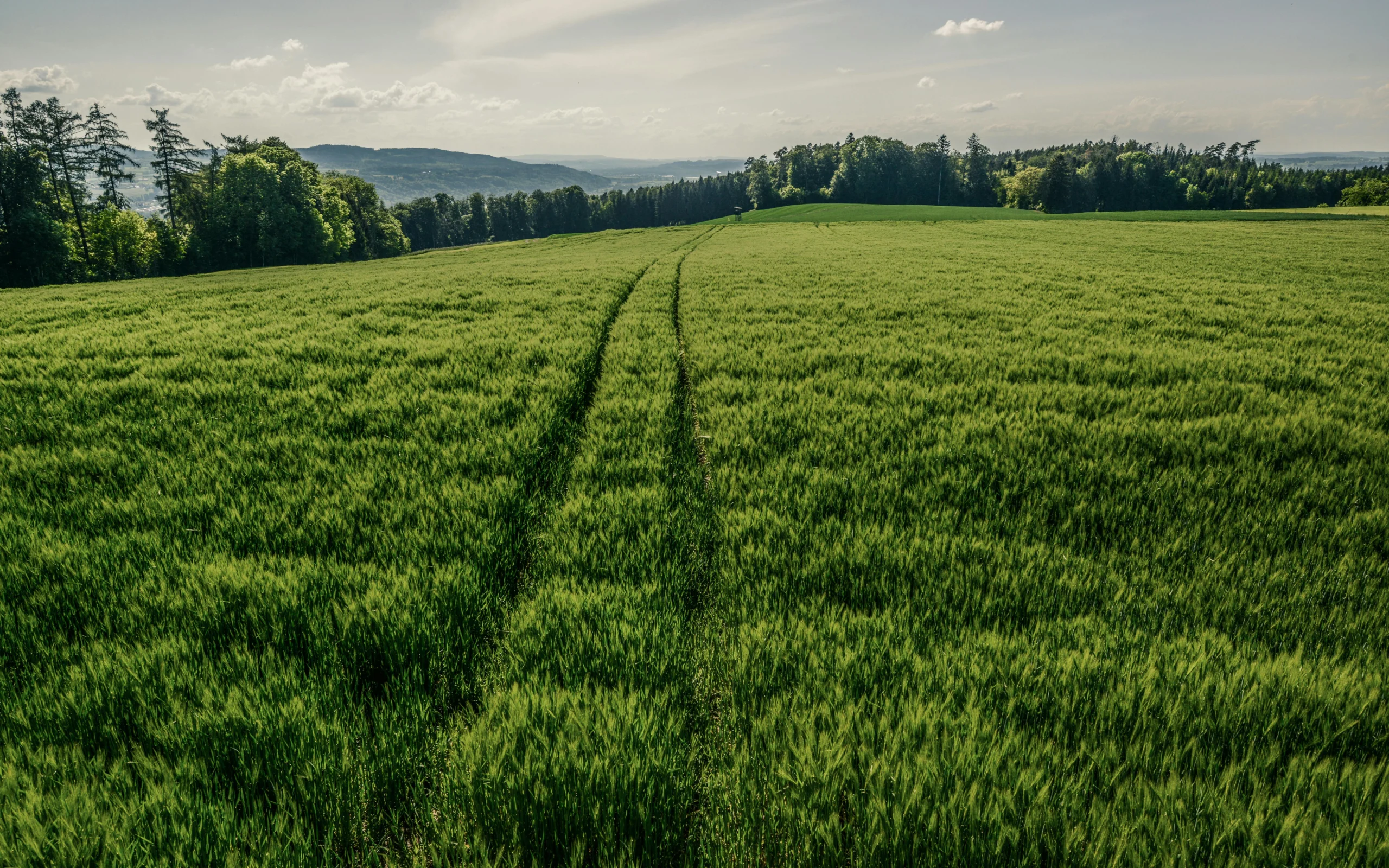 Die perfekte Hochzeitslocation im Kanton Thurgau finden für eine freie Trauung mit den Traurednern Wyss.