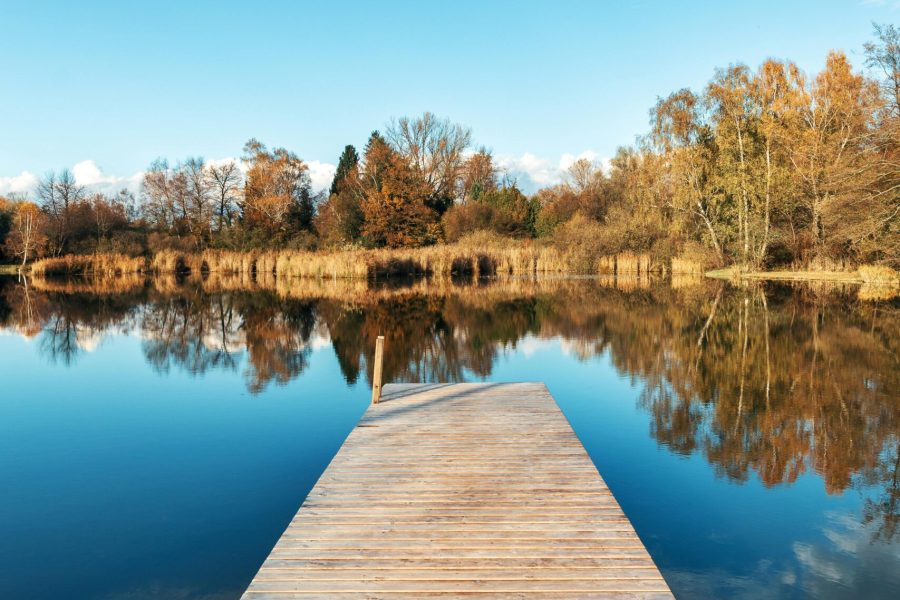 Naturverbundene Hochzeitslocation im Thurgau für freie Taufen und Hochzeiten.