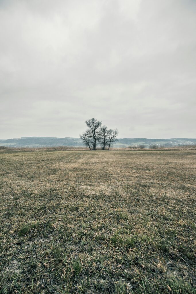 greifensee freie Trauung